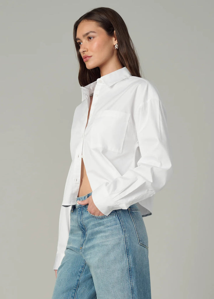 Joe's Jeans Cropped Boyfriend Button Down